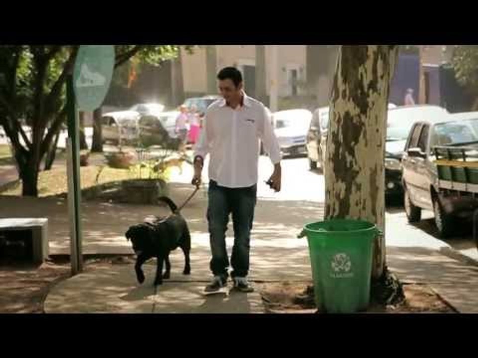 Como levar seu animal de estimação