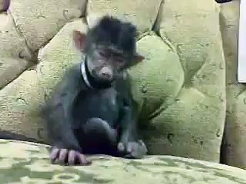 VID-20150407-WA0004.mp4