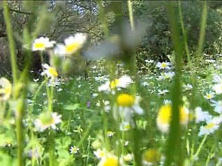 Υπομονή με τις αλλεργίες και προσοχή στα φάρμακα