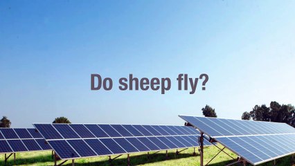 Maintenance Offer for Photovoltaic Park