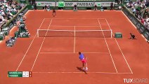 Roger Federer gagne un point avec un revers à 2 mains