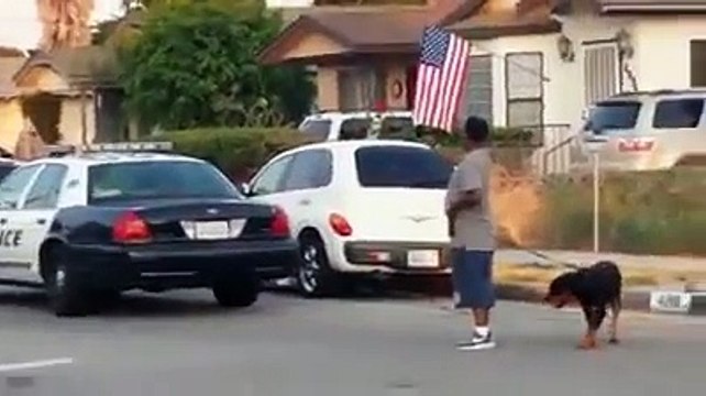 Полицейский застрелил собаку при аресте - #2013 #видео #клевыйканал