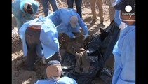 Irak: exhuman 470 cadáveres en Tikrit