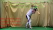 Cricket Training Batting Tips & Drilling How to Play Straight Balls in Cricket