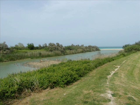 LA FOCE DEL FIUME MUSONE (NUMANA E PORTO RECANATI, MARCHE, ITALY)