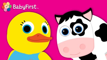 Tillie toc toc - Valentine la vache