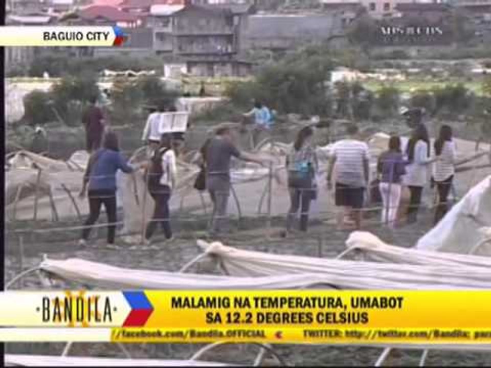 Tourists enjoy Baguio's cold weather