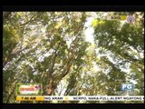 Winnie Cordero visits Bohol after quake