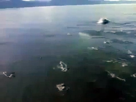 [New 2015] ALLAH Ki Qudrat|ALLAH Ki Shaan | Miracle Of ALLAH