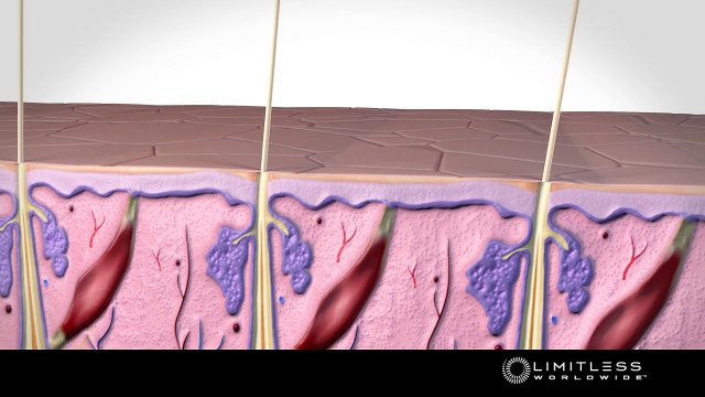 thrive hGH Human Growth Harmone