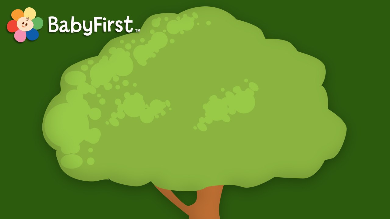 La boite magique, l'arbre!