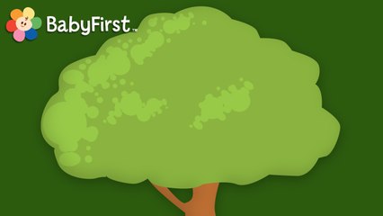 La boite magique, l'arbre!