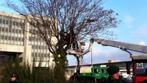 SEK Einsatz am Stuttgarter Hauptbahnhof