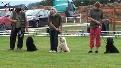 Puli Fesztivál Monoron a Hotel Nyergesben