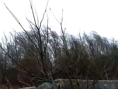 La tempête Xynthia (Belgique) du 28/02/2010