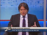 Pedro Estevam Serrano / Julgamento do mensalão
