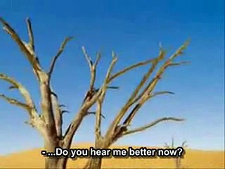 SECONDA CHIAMATA AL NOE (NUCLEO OPERATIVO ECOLOGICO) DEI CARABINIERI.