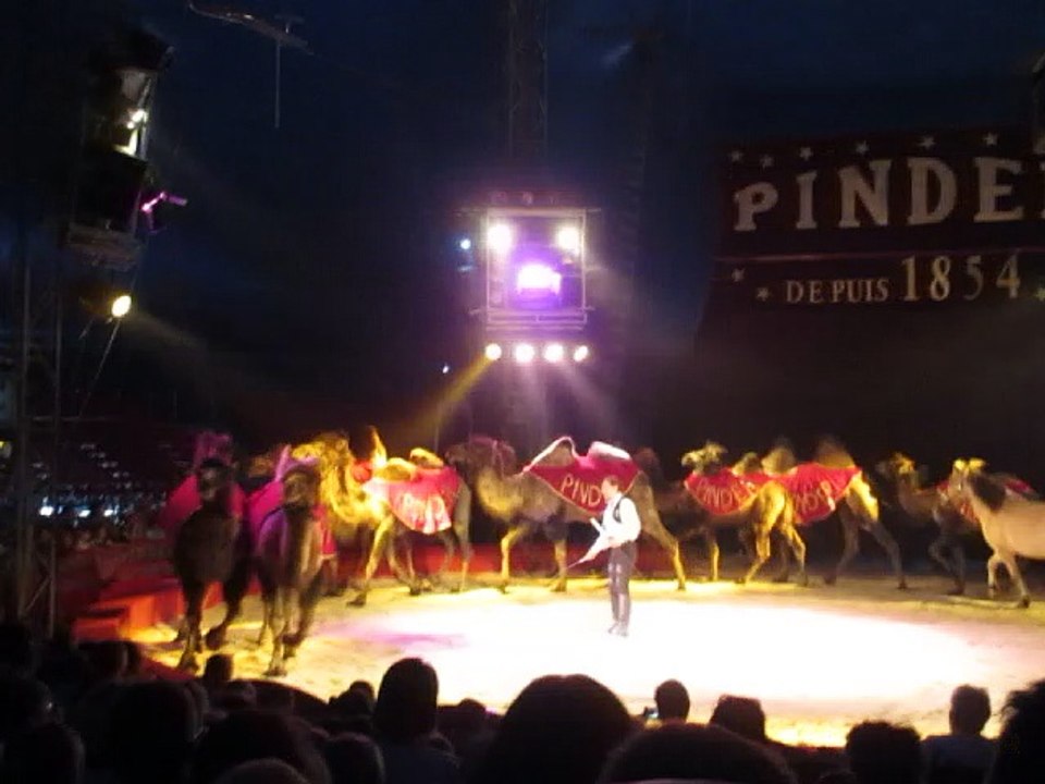 MVI_3484 cirque animaux