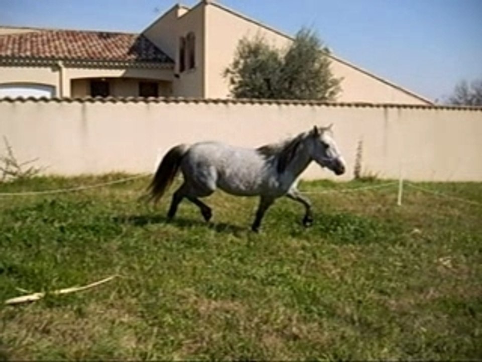 Olga et savane ds le rOnd de lOnge
