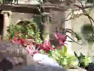 Captain Jack Sparrow Yo Ho (A Pirate's Life For Me)