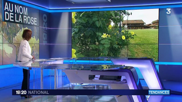 Lyon, capitale de la rose le temps d'un week-end