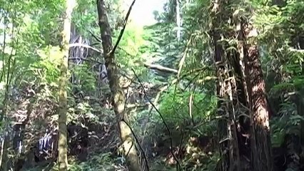 The Jenner Headlands