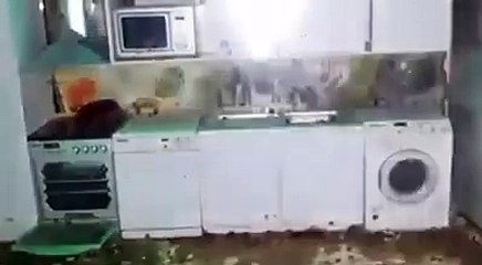 ممنوع على القلوب الضعيفة شنوا هذا !!!!!