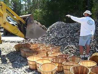 America Invests in N.C. Estuaries - Down East Oysters