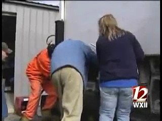 Hundreds of Puppies Rescued