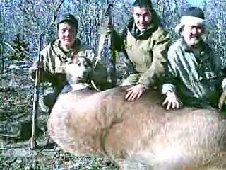 Охота на лося Якутия