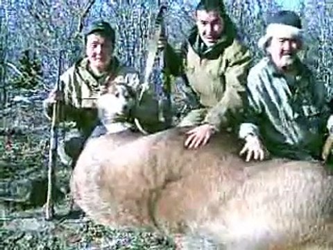 Охота на лося Якутия