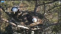 2015 01 21 Berry College Eagles:  Wednesday Footage