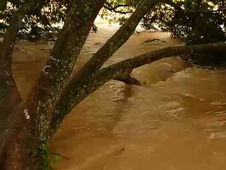 Rio Paraiba - Vale do Paraiba / enchente