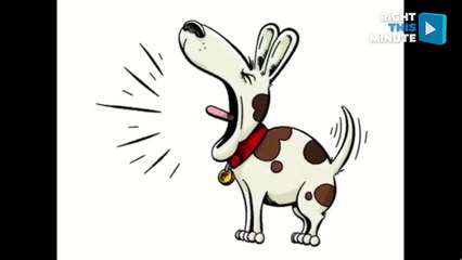 Make Your Voice Heard & Avoid Confrontation With 'Bad Neighbor Notes'