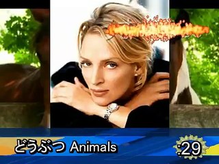 Learn Japanese: 1 Minute Japanese - Animals!