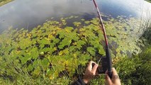 Pike fishing with lures: catching a trophy fish of a day. Рыбалка: трофейная щука на воблер.