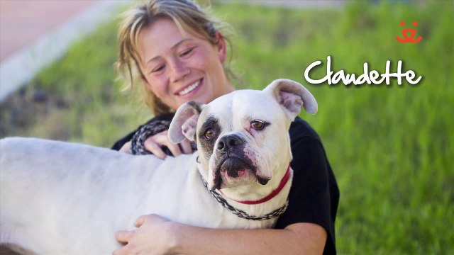 Adoptables at Best Friends Pet Adoption and Spay/Neuter Center!