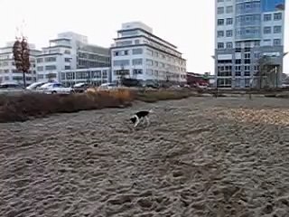 Deine Spuren im Sand