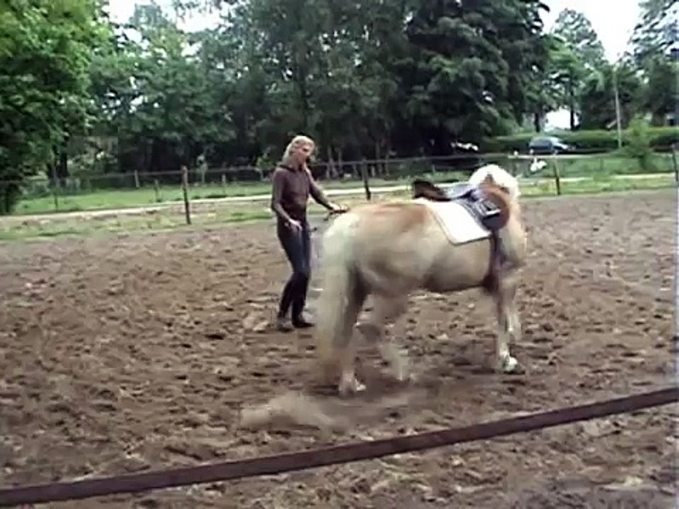 waldjo longeren na 4 weken