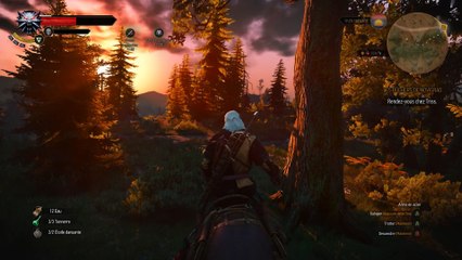 The Witcher 3 - Coucher de Soleil (PC)