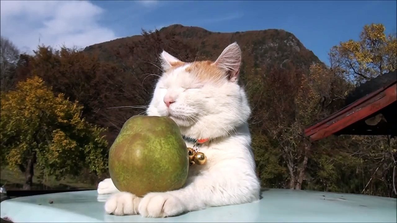 ラフランス　Pears