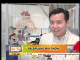 Mall in Taguig offers 'snow playground'