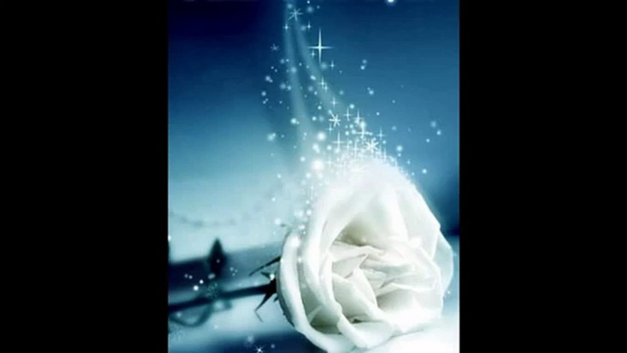 DJ Striden - In Love