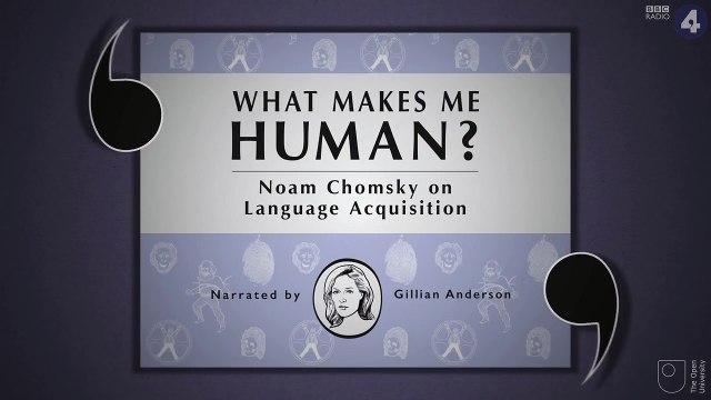 Noam Chomsky on Language Aquisition