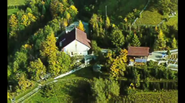 OVNI : Billy Meier 1975 , foto real de la Extraterrestre ASKET ?