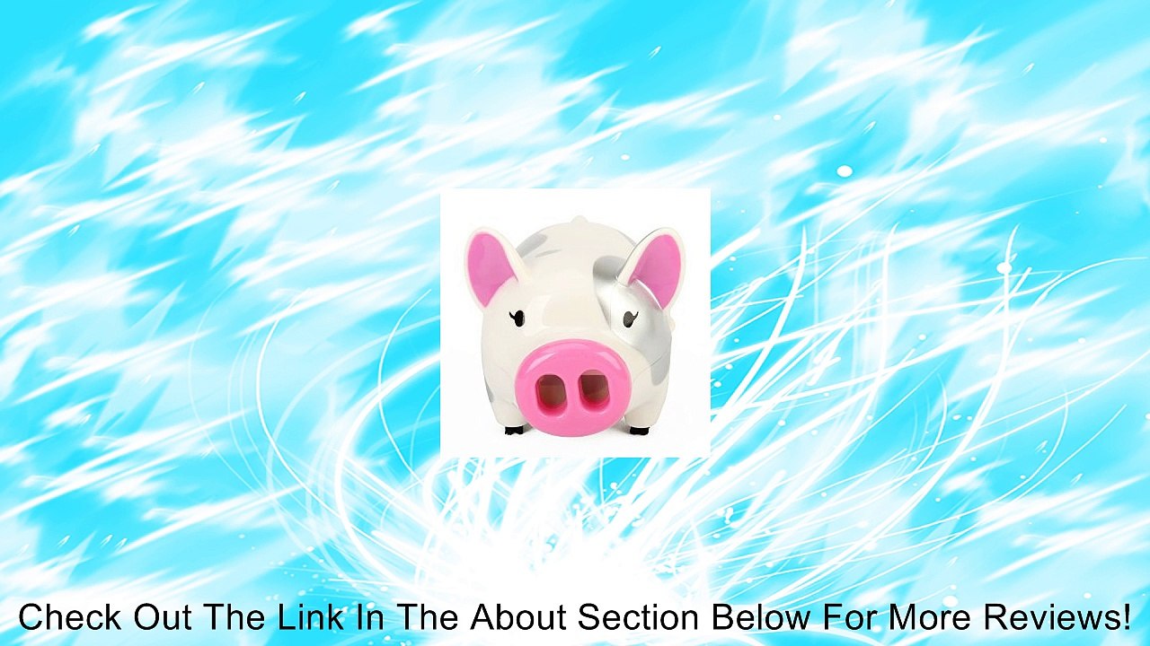 Mini Pig Desktop Cleaner - White Review