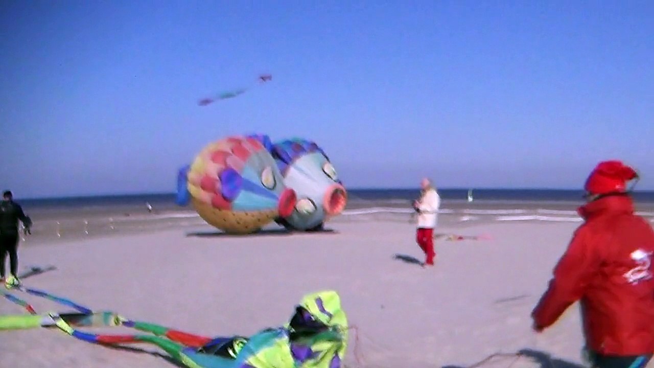 Difficile d'être cerf-voliste à Berck quand on vient d'Italie.