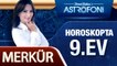 Merkür Horoskopta 9. Ev