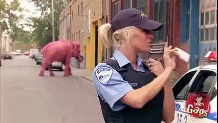 This is so silly but it s great