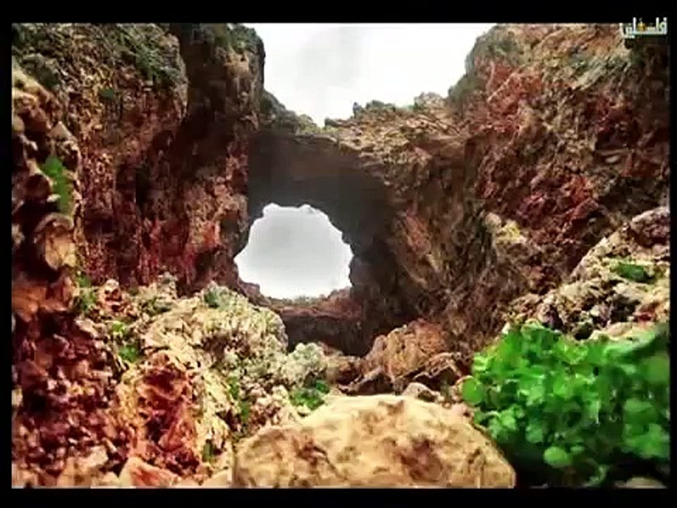 هذا الصباح - الاربعاء 22-4-2015 ج1